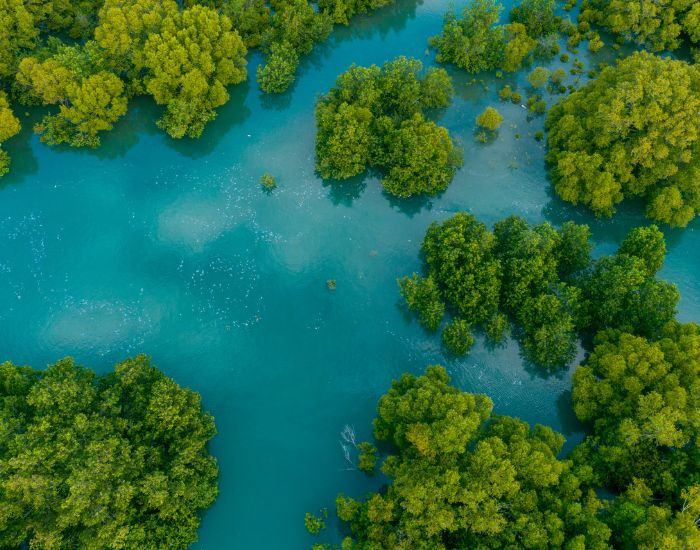 environmental sustainability 101 course