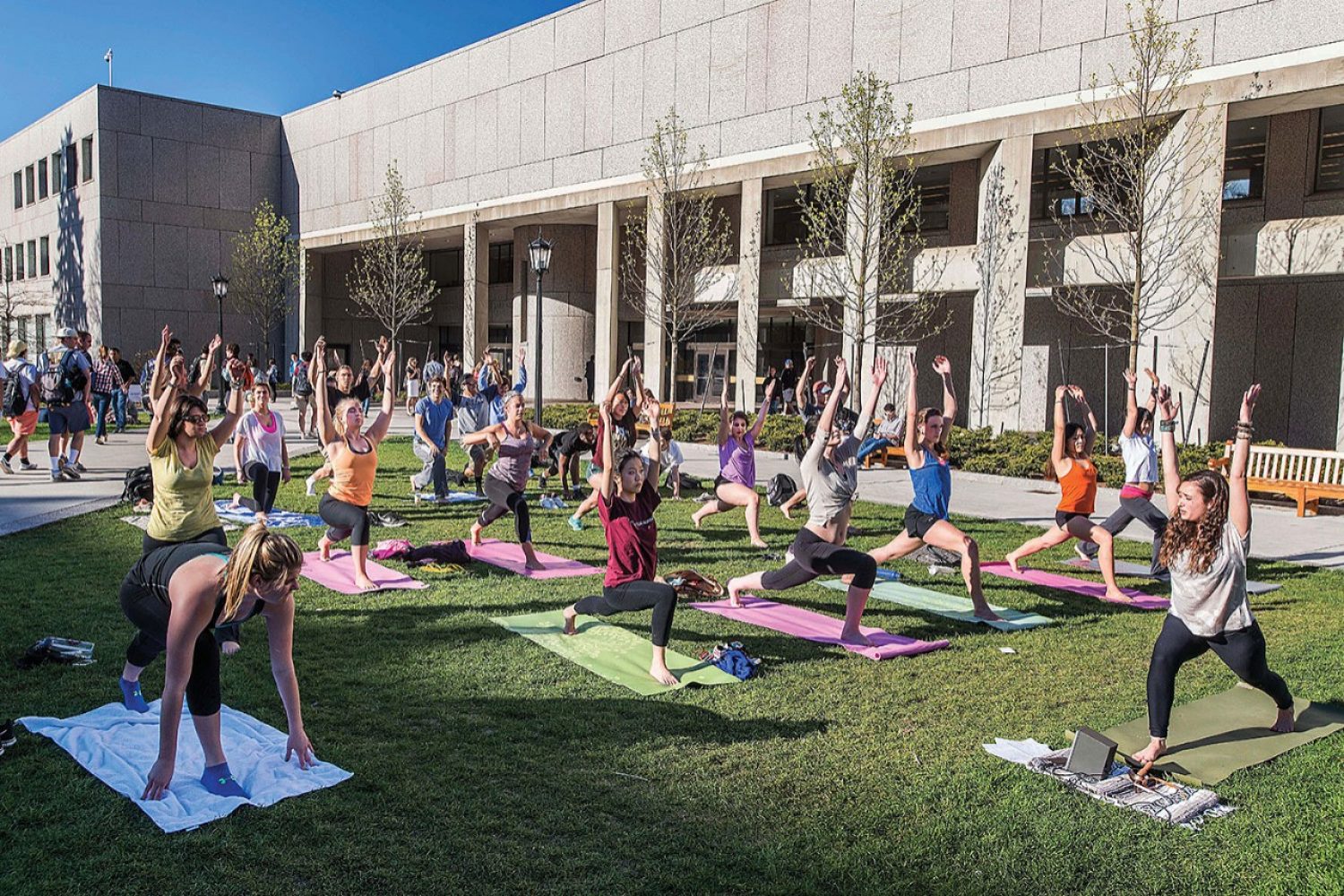 People doing yoga outside