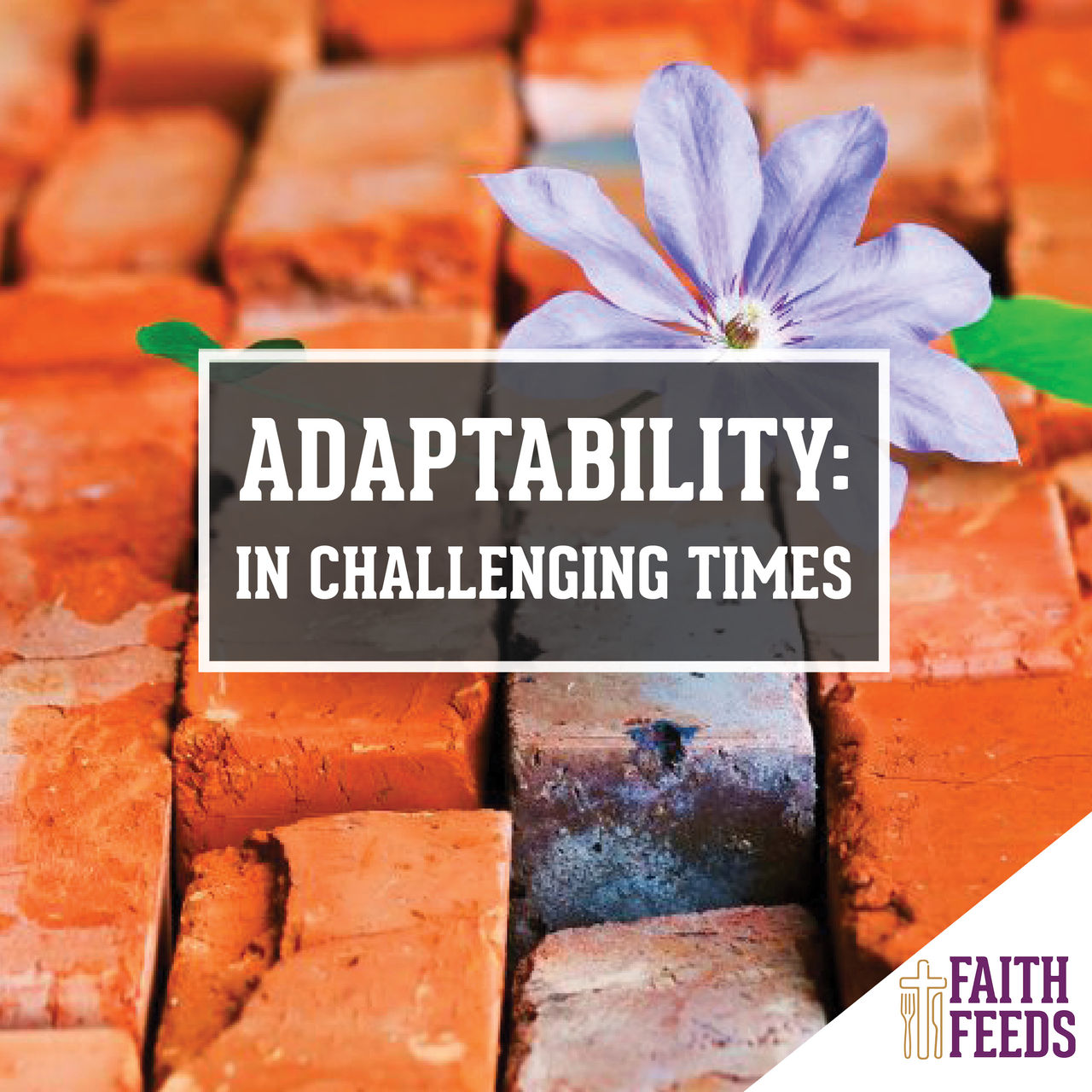 Adaptability: In Challenging Times