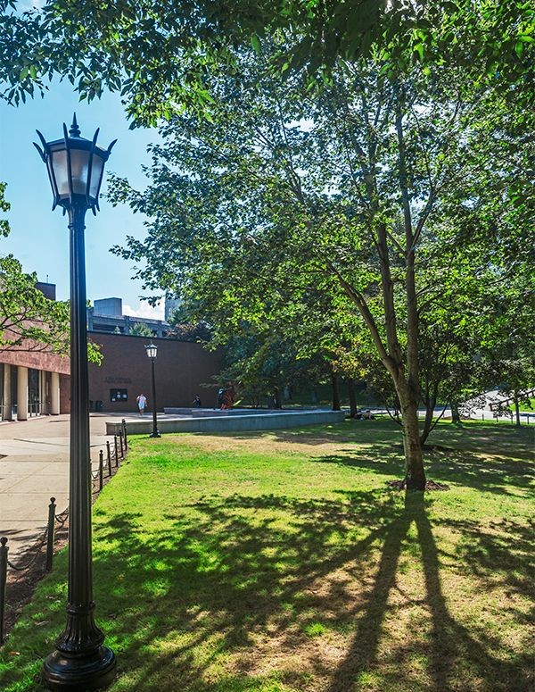 Corcoran Commons