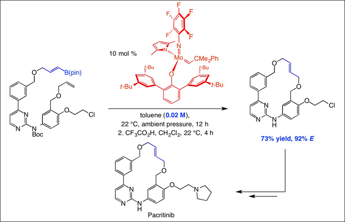 Kinetically E-selective macrocyclic ring-closing metathesis