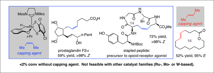 In Situ Methylene Capping