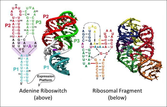 Excess Ion Atmosphere Around RNA
