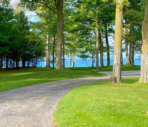 A curving gravel path through pine trees with blue water and sky in the background.
