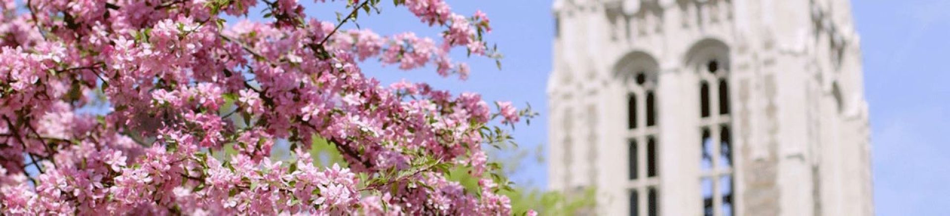 Gasson Hall tower spring