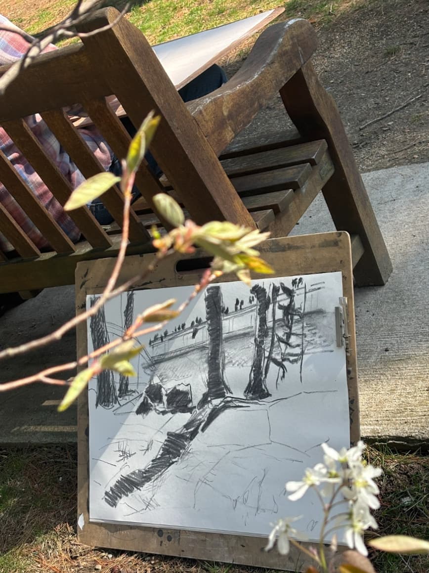 A drawing of the woods near BC campus with a branch and bench in the foreground and background