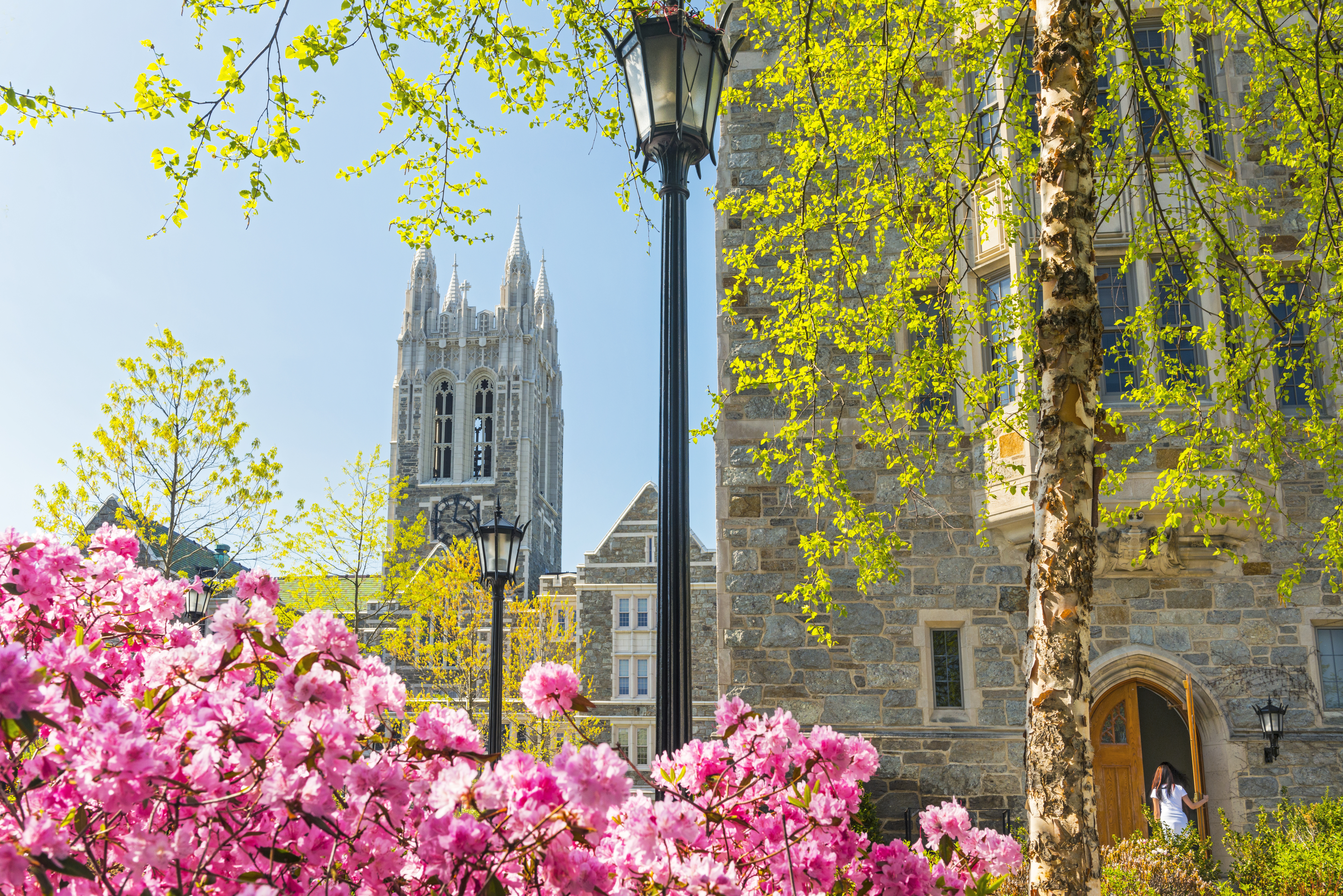 Main campus in spring.

Gasson and Devlin Halls viewed from the south side.