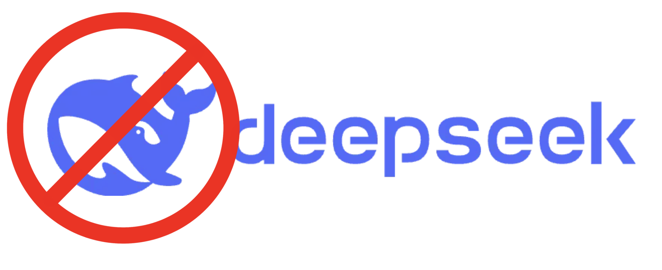 DeepSeek logo with warning circle