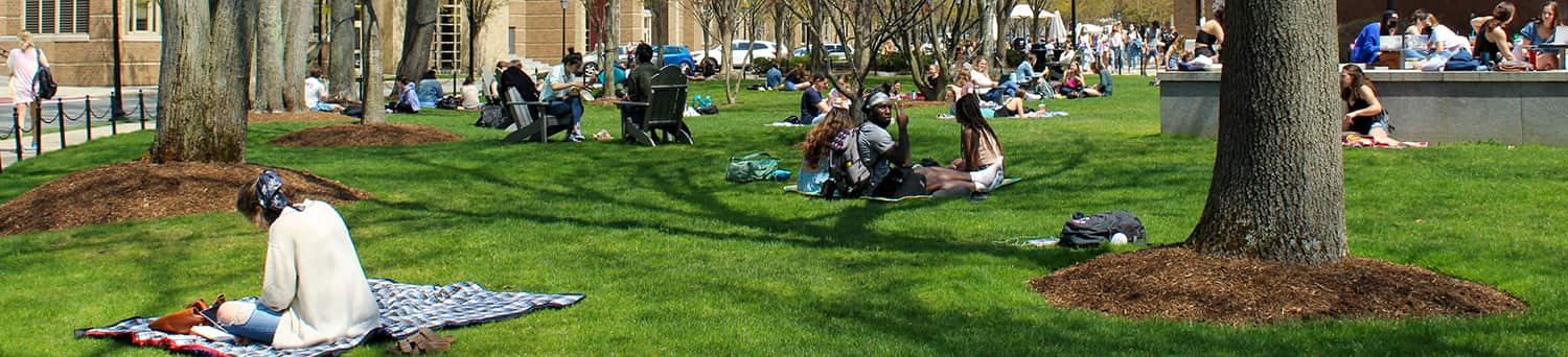 Students on grass