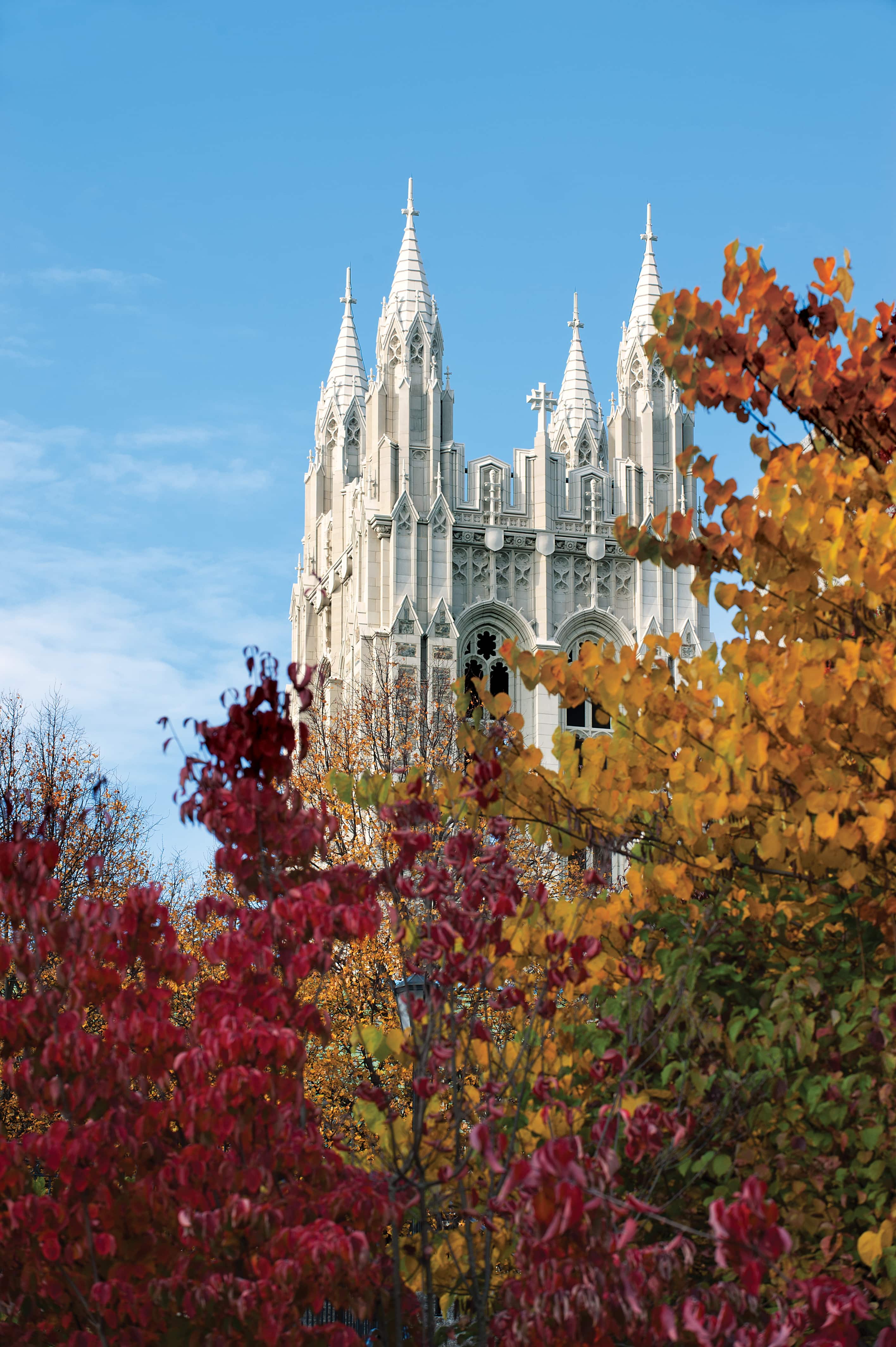 Gasson tower with fall leaves