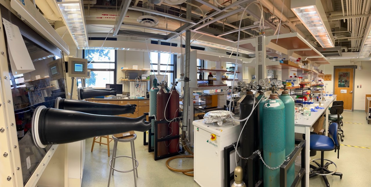 Dunwei Wang lab