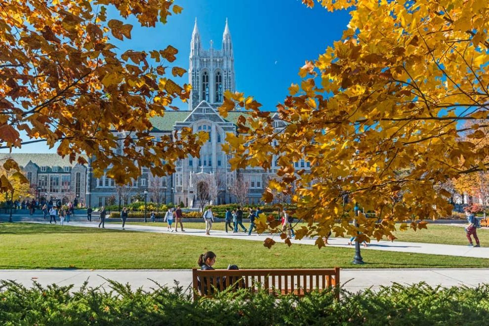 gasson fall