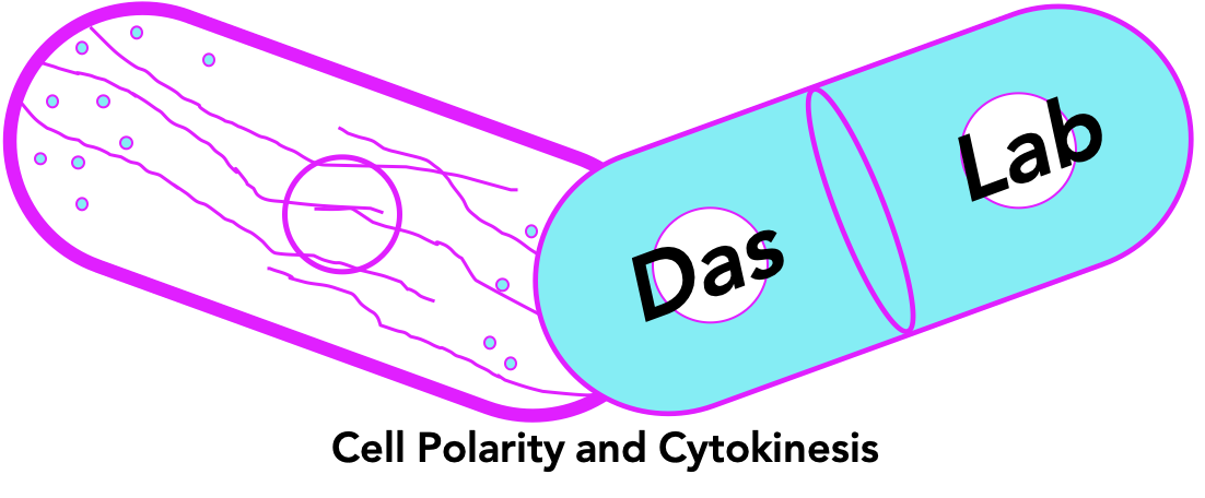 Das Lab Logo