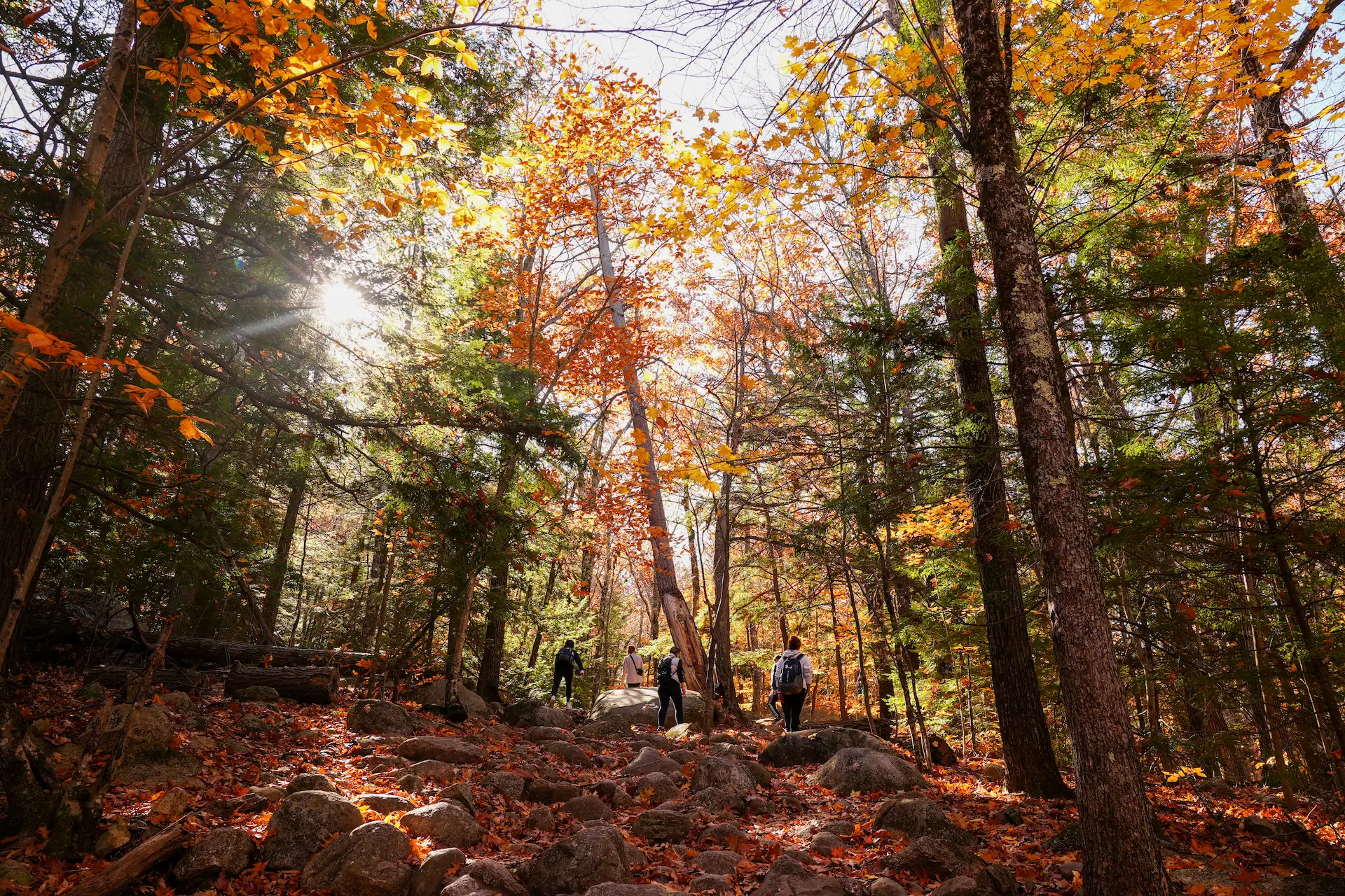 Students hiking