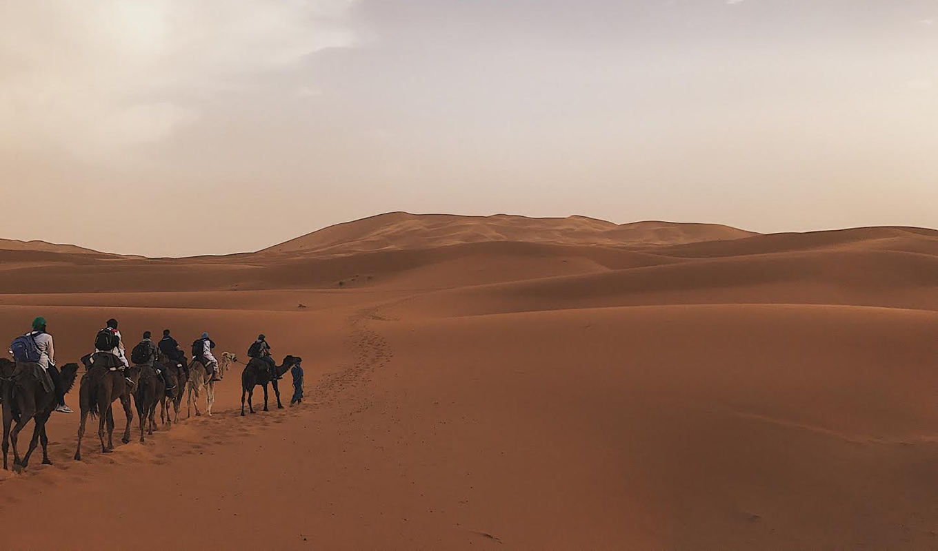 Sahara Desert