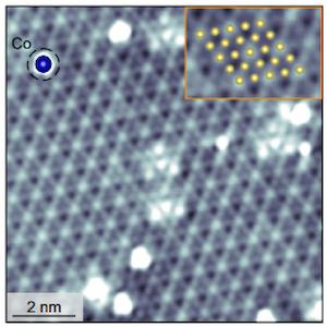 Unidirectional coherent quasiparticles image