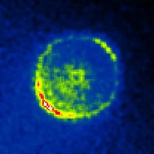 Unidirectional coherent quasiparticles image