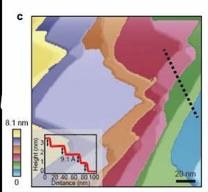 Unidirectional coherent quasiparticles image