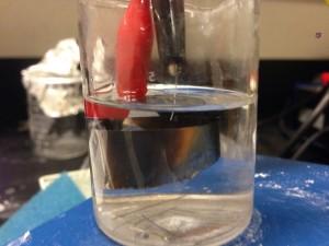 tip in a solution