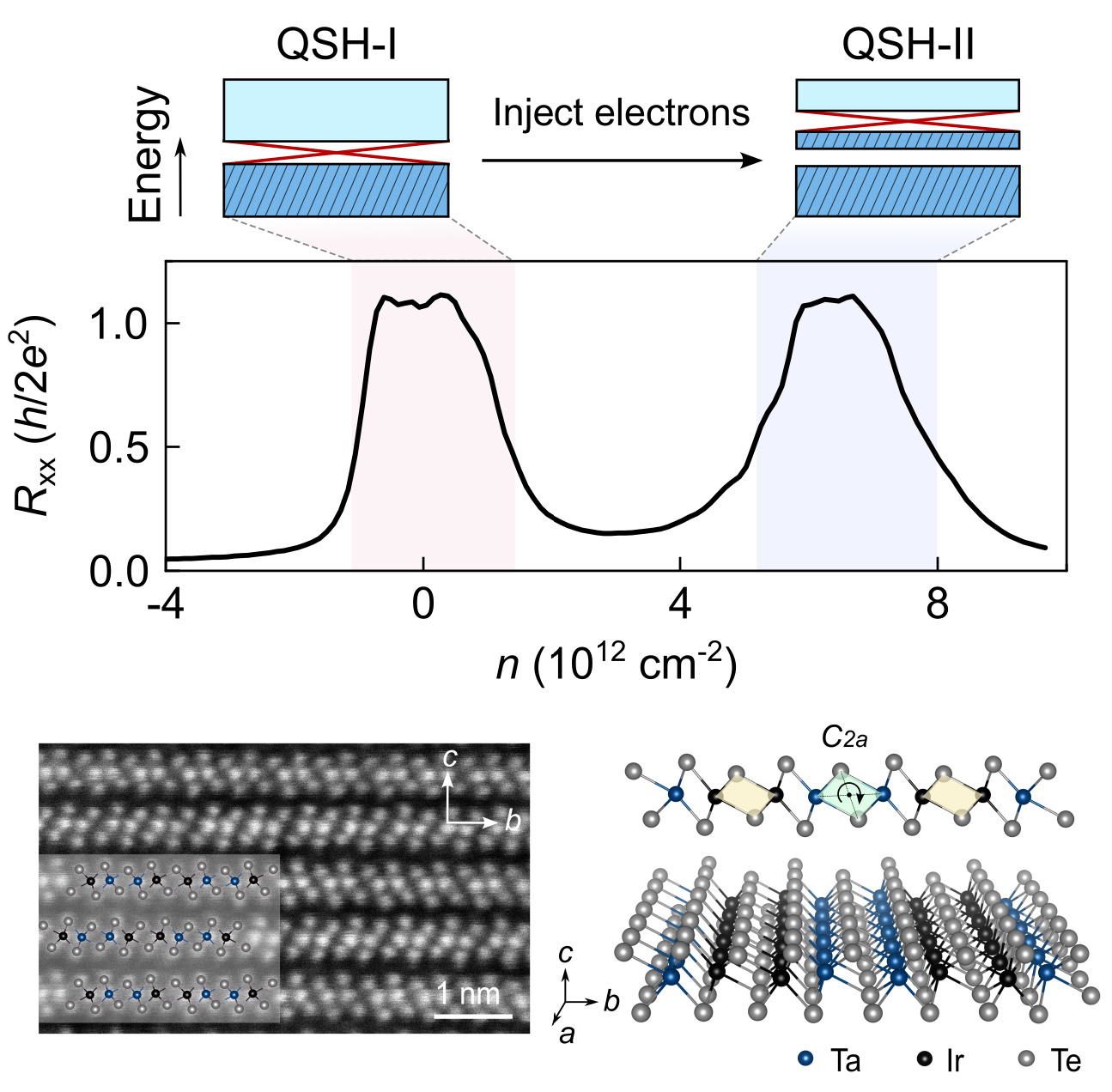 Dual Quantum Spin Hall