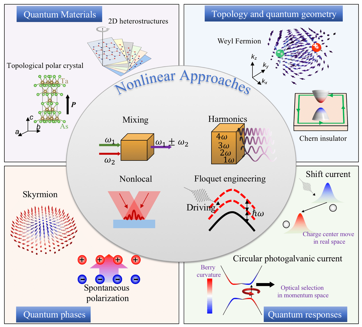 Topology and geometry under the nonlinear electromagnetic spotlight