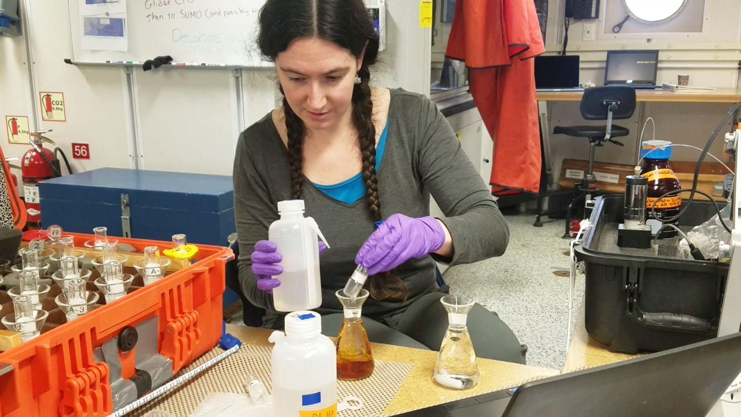 Hilary Palevsky at work in her lab