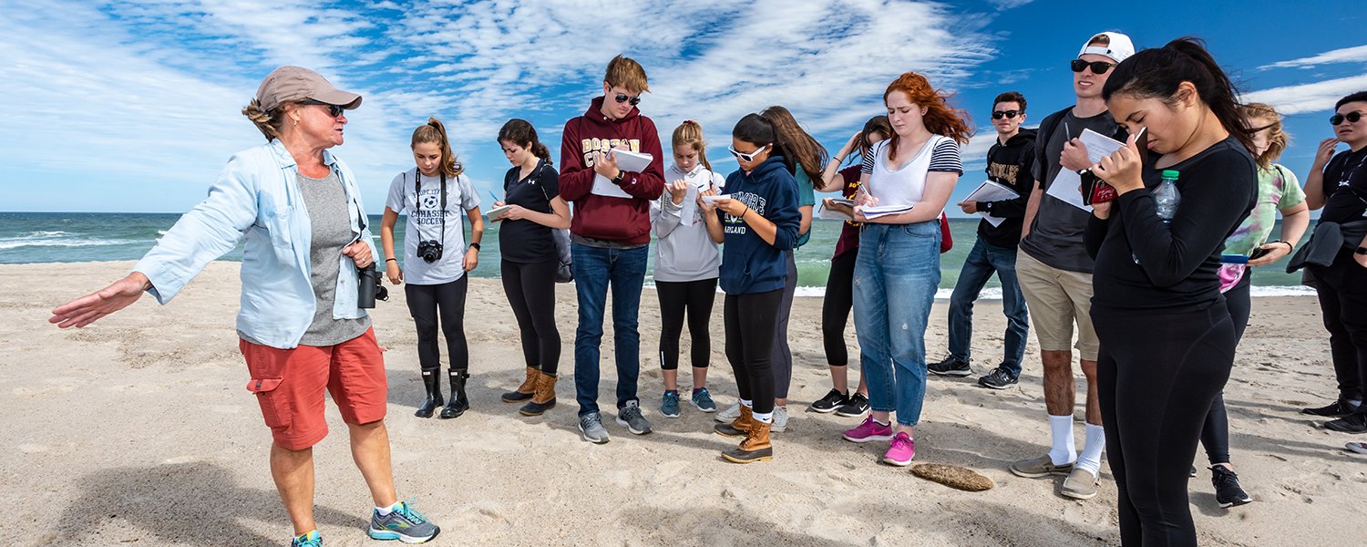 Students in class at beach