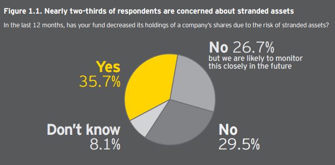 EY._Stranded_Assets.jpg
