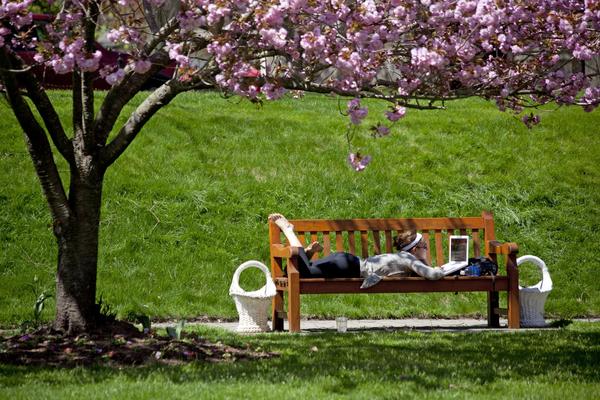Main campus in spring. St. Mary's lawn. 